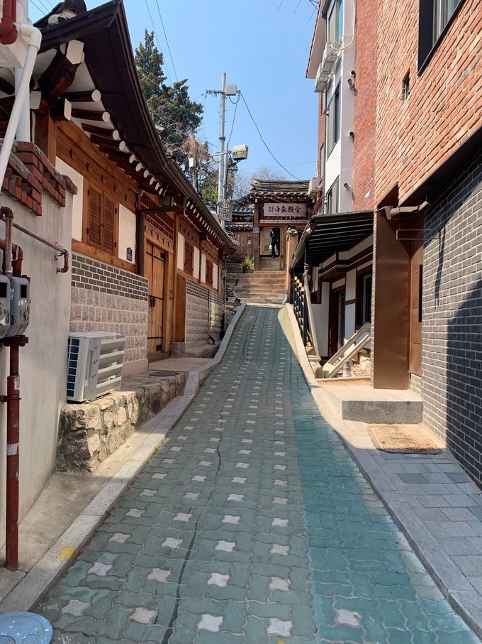 樱花韩国歌曲,樱花味的日语