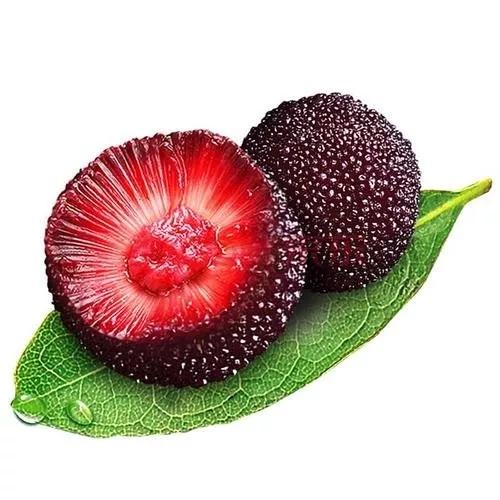 各种常吃水果名和图片,喜欢吃水果了解水果种类