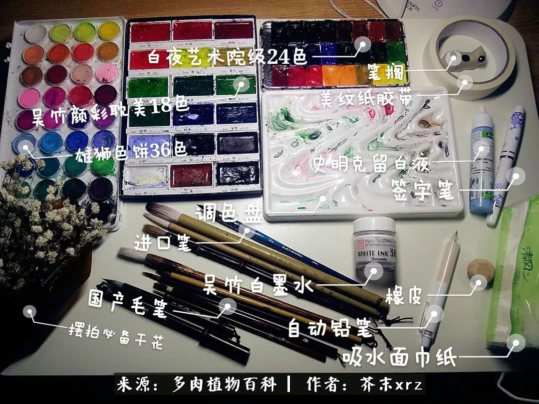 那个爱画多肉的小姑娘带着她的心头肉又来啦!