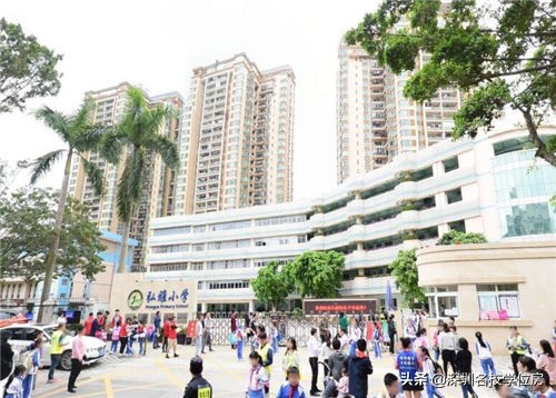 宝安小学排名一览表,弘雅小学在宝安的排名