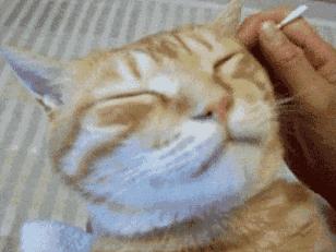 500万像素高清成像，隐秘耳道一览无遗，挖耳朵也能科技感爆棚