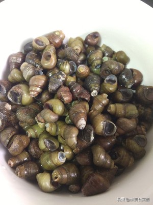 爆炒螺丝菜的做法大全,螺丝下酒菜做法大全