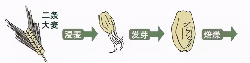 精酿啤酒酿造工艺流程视频教程,精酿啤酒生产的工艺流程