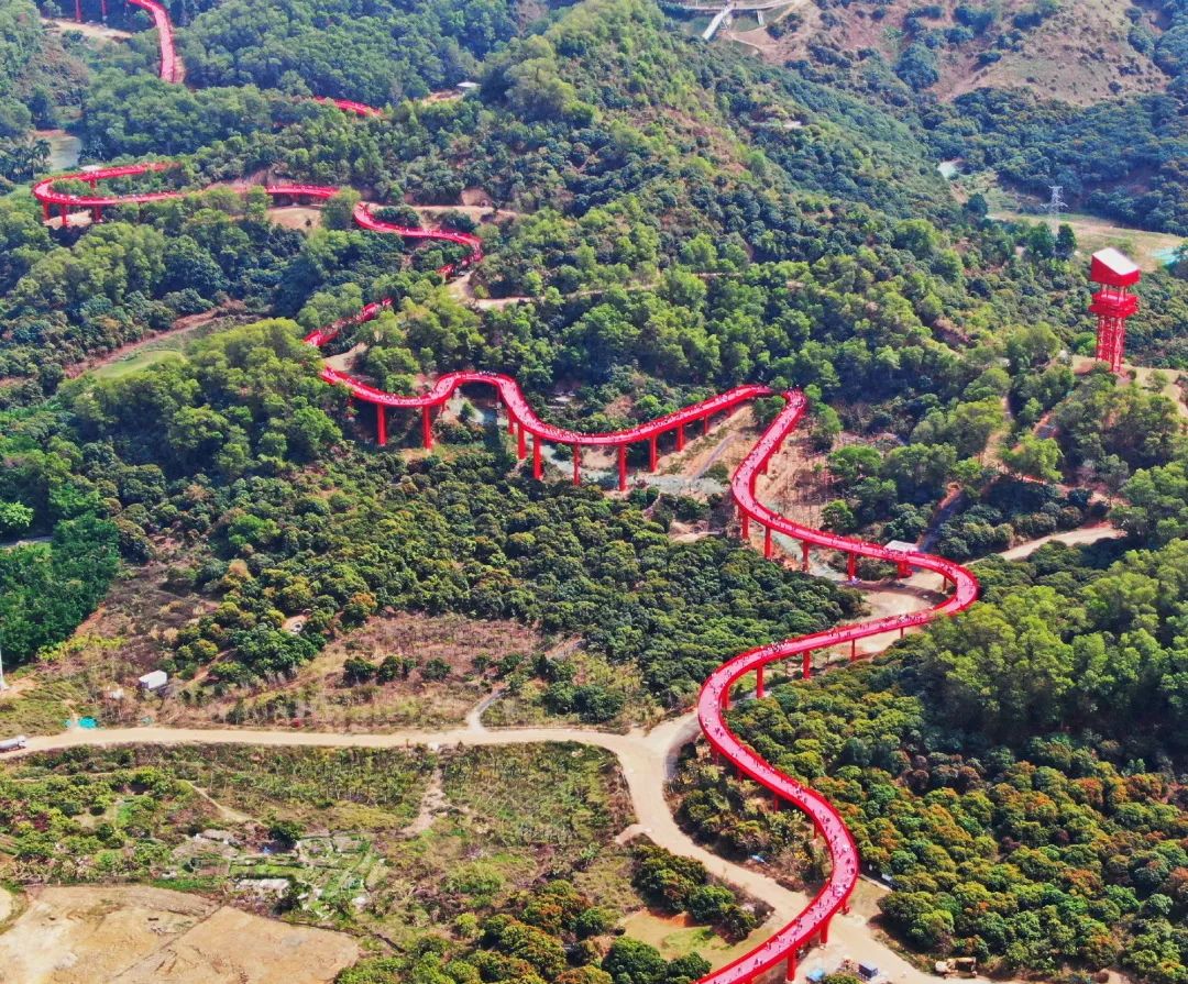 深圳天空之镜网红玻璃桥,深圳玻璃桥免费旅游攻略