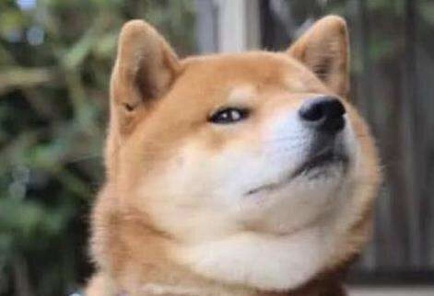 大功率路由器辐射对人体危害大吗,多个路由器辐射会增大吗