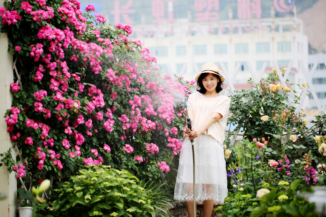 爬藤植物怎么牵引造型,爬藤植物是怎么爬藤的