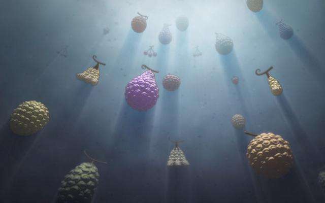 海贼王草帽团有几个吃了恶魔果实,海贼王得到恶魔果实的片段