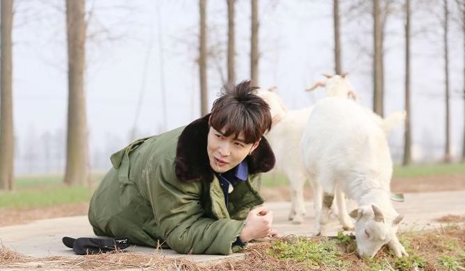 张艺兴极限挑战背后的故事,张艺兴极限挑战大型尴尬现场