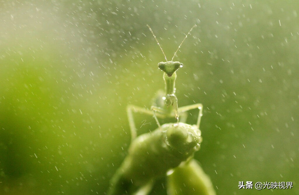 有关雨的美图,雨总能带给人直观的感受