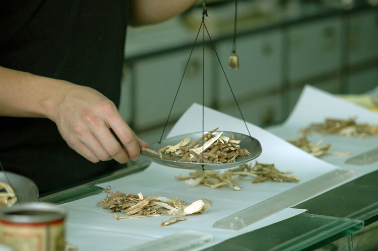 8岁女童早熟吃什么中药,8岁女童早熟控制饮食可以好吗