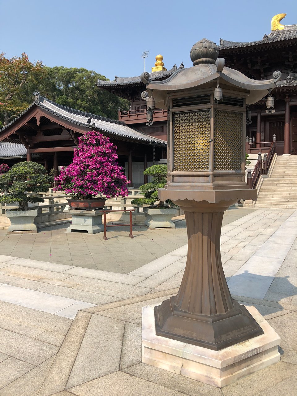 香港志莲净苑地图,香港志莲净苑好玩吗