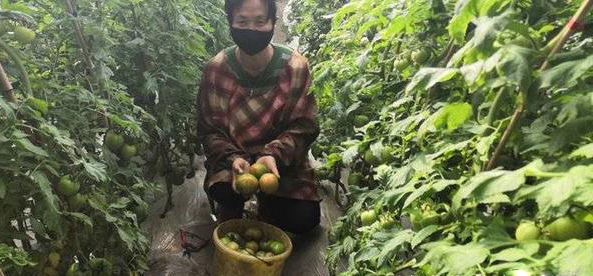 你不知道的青岛十大特产,你不知道的青岛地区