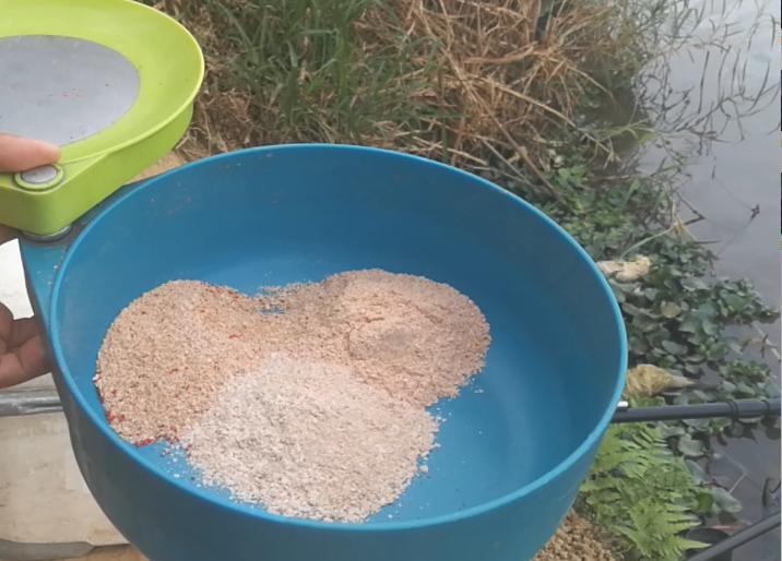 妄想山海鲮鱼成熟后怎么进阶,钓鲮鱼1.5主线0.8子线可以吗