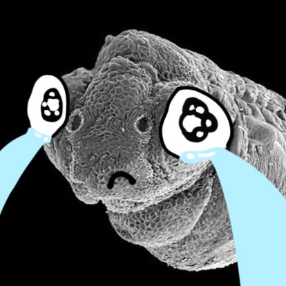 最新面霜测评真实推荐,美白精华粉底