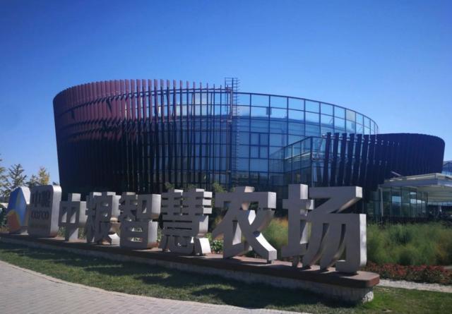 马云致富的预言,马云预言赚钱机遇