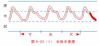 中医把脉入门必背口诀翻译,把脉入门必背口诀粤语版