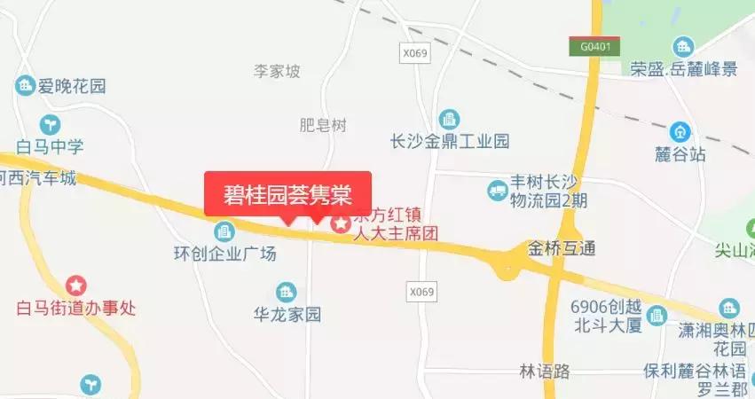 碧桂园长沙房价,碧桂园降价出售视频