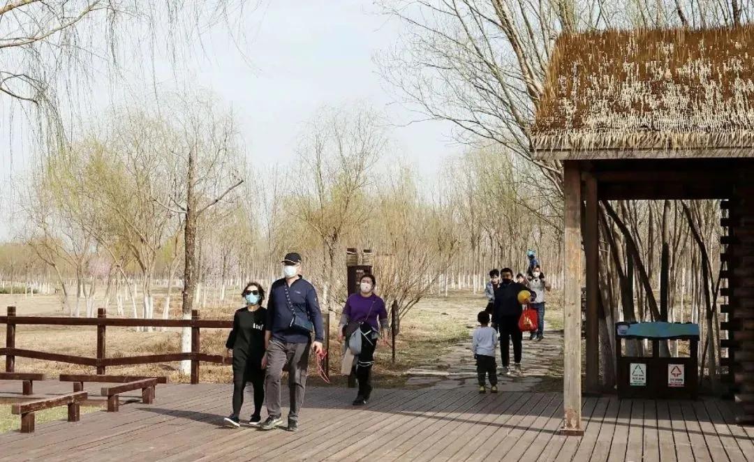 天津市五一新开放的公园,天津地区春暖花开的时间
