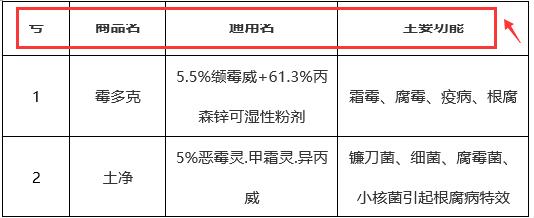 word表格破表怎么解决,word表格转换为excel表格技巧