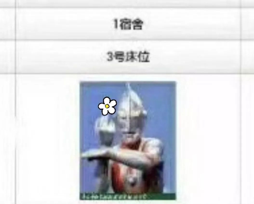 大工热搜,大工最新作品