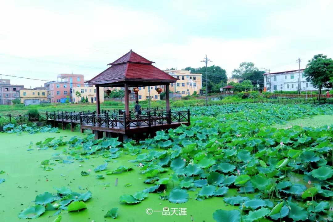 探大钱，起大厝，每个闽南人心中都有座南洋楼