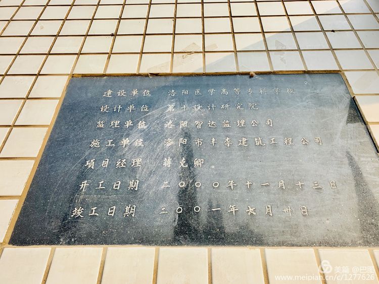 涧西牡丹广场老照片,洛阳牡丹手机拍照