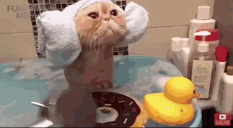 比香水还撩人的神器海盐磨砂膏,闻过就忘不掉的香水型沐浴露盘点