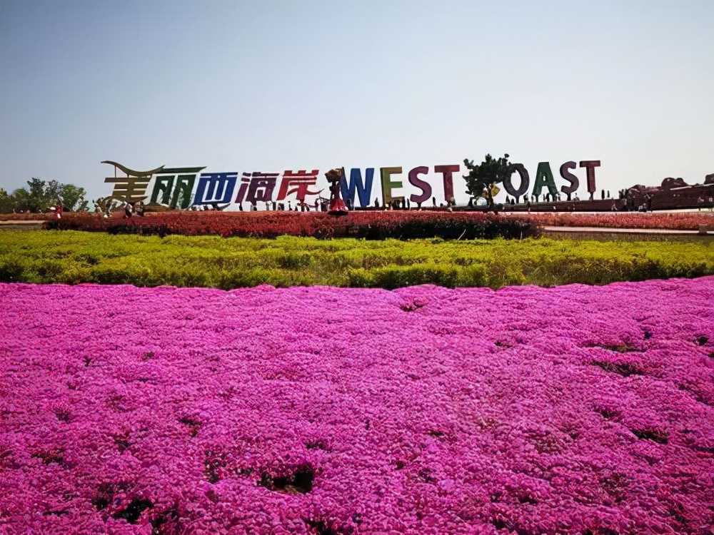 青岛公司团建轰趴,青岛公司团建去哪里好