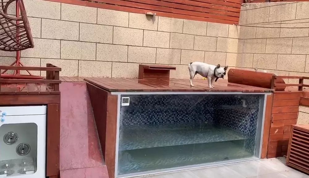 儿童房别墅装修带滑梯泳池秋千,城堡豪华别墅泳池