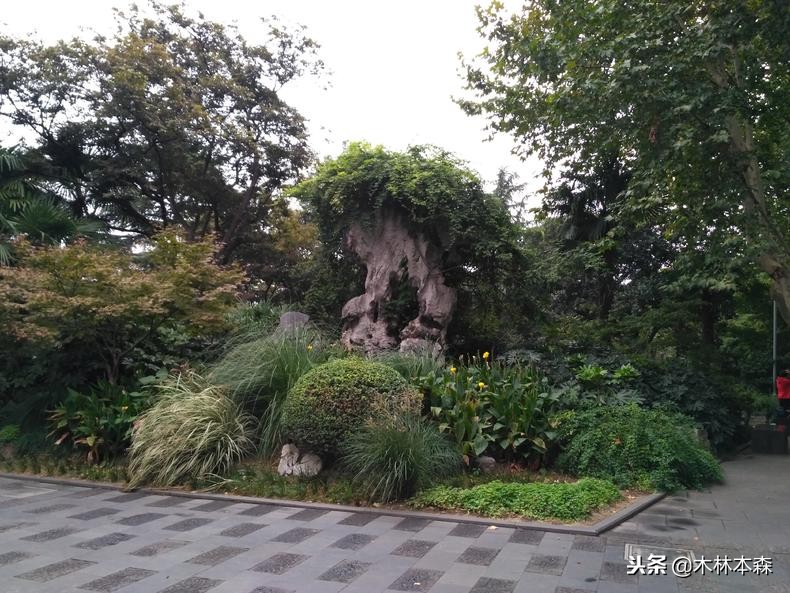 去常州天宁寺拜啥,去天宁寺坐几路车