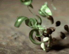 当画面全部慢下来的时候,当画面定格在一瞬间