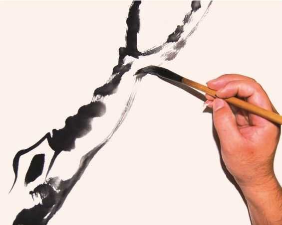 国画教程零基础入门树的画法,国画花卉线稿教程大全