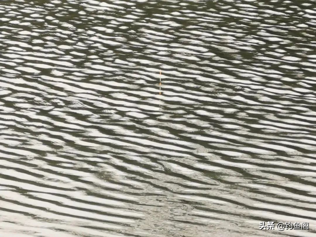 太阳反光看不清浮漂怎样解决,大风大浪钓不到大鱼