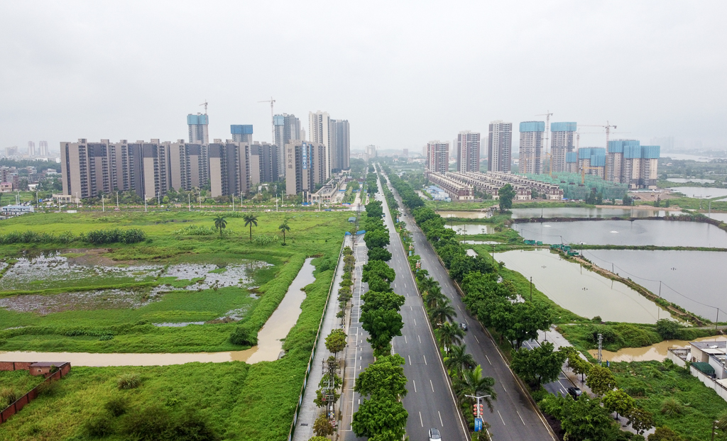 东莞石排是个什么样的镇,东莞市百强