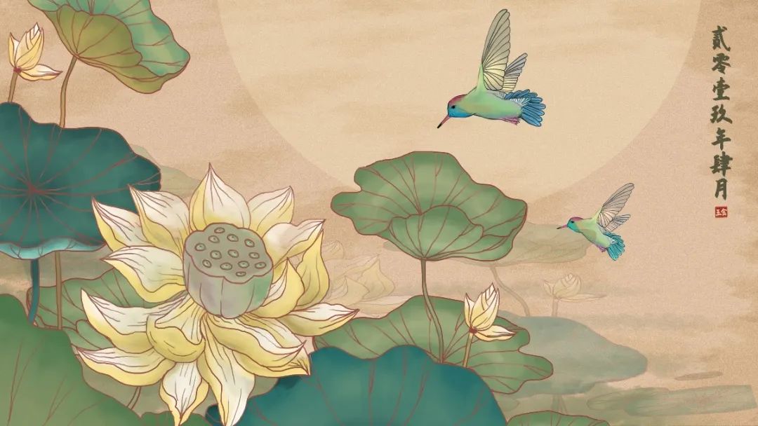 描写荷花的诗句和优美句子,描写荷花的好词名句