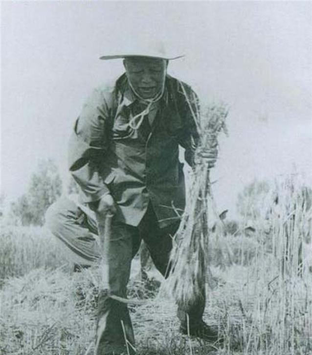 这个王牌军真野,援朝未带*器武**,师副政委率部“抢”驻地*火军**库