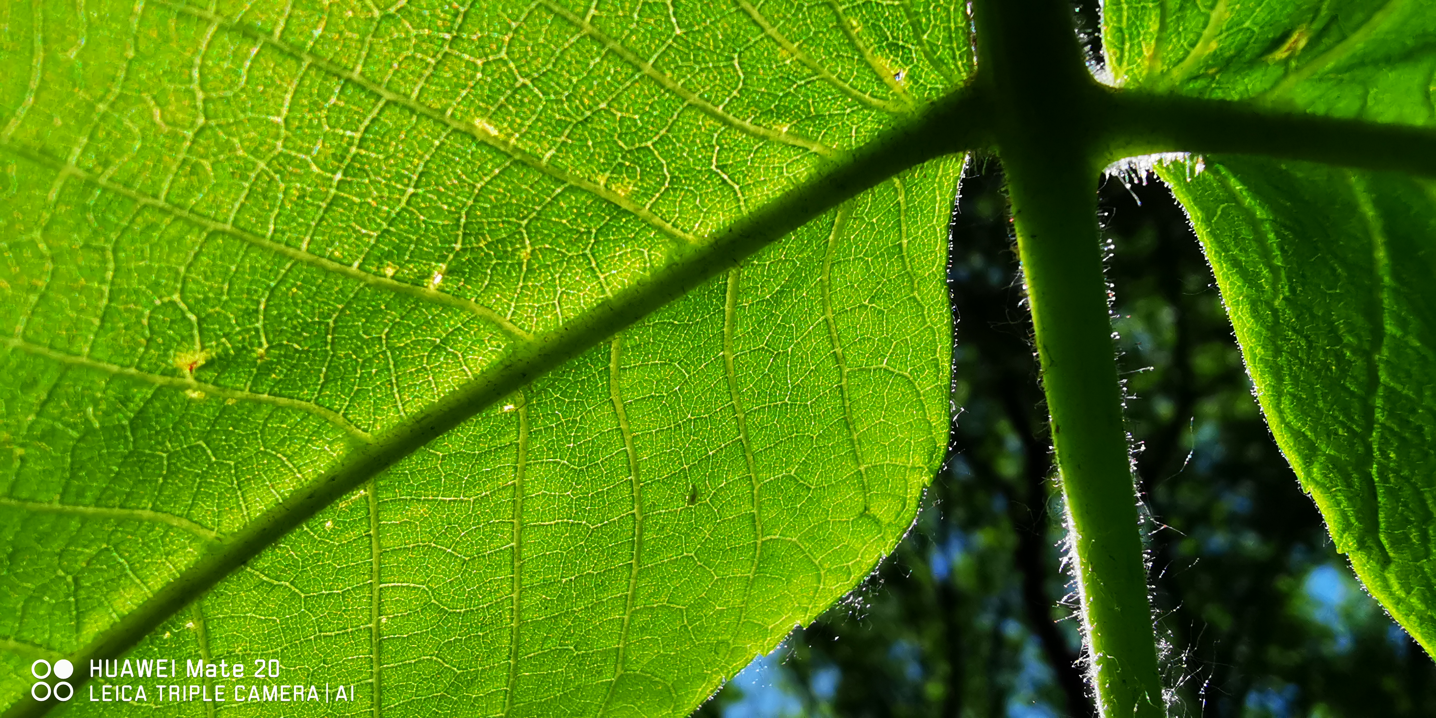 华为mate20测评什么处理器,华为mate20测评最新