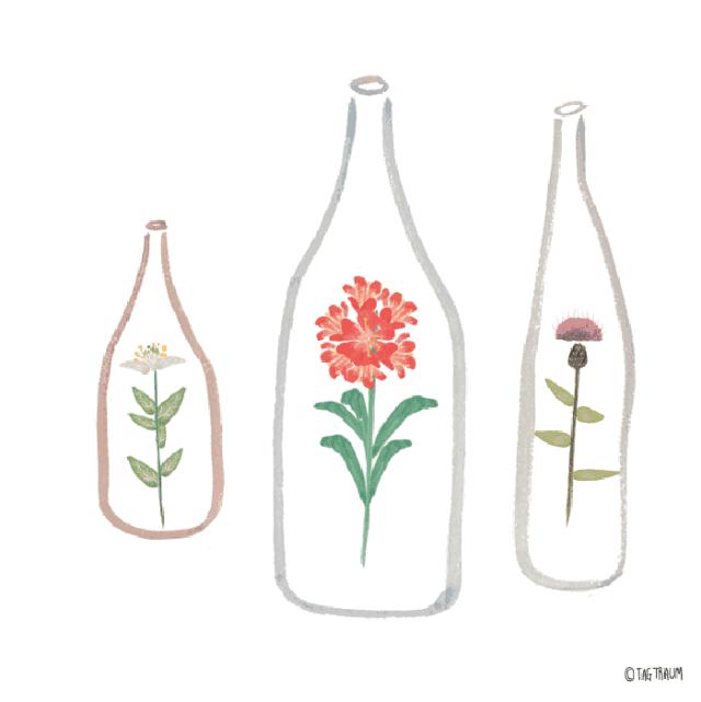 鐙傚枩鏃ユ湰鍔ㄦ极鍏ㄩ泦,浜氭床鎳掕泲铔嬬殑涓婚椁愬巺