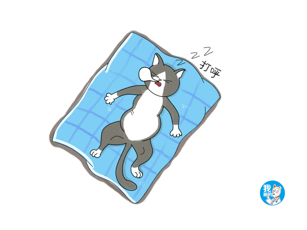 猫咪打呼噜声音很大怎么回事,猫咪为何会有打呼噜的声音