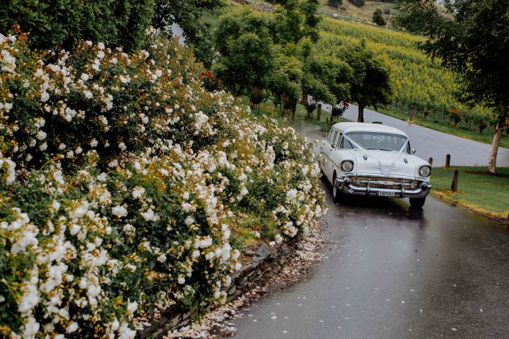 海外旅行婚礼新西兰,新西兰婚礼去哪里好