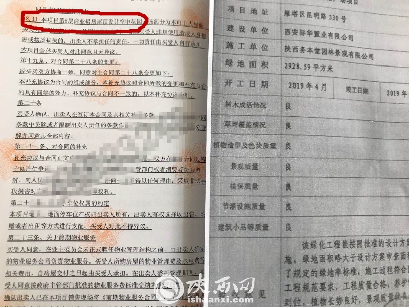 小区绿化作假,绿化造假事件