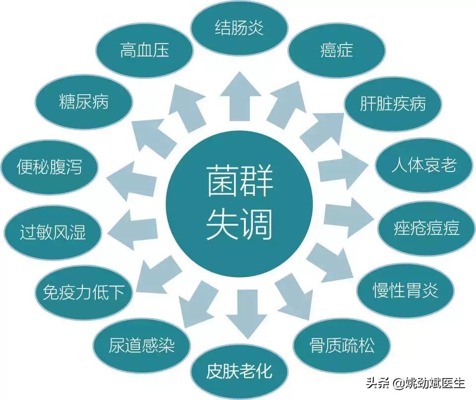 合生元益生菌功效,益生菌最佳用法用量