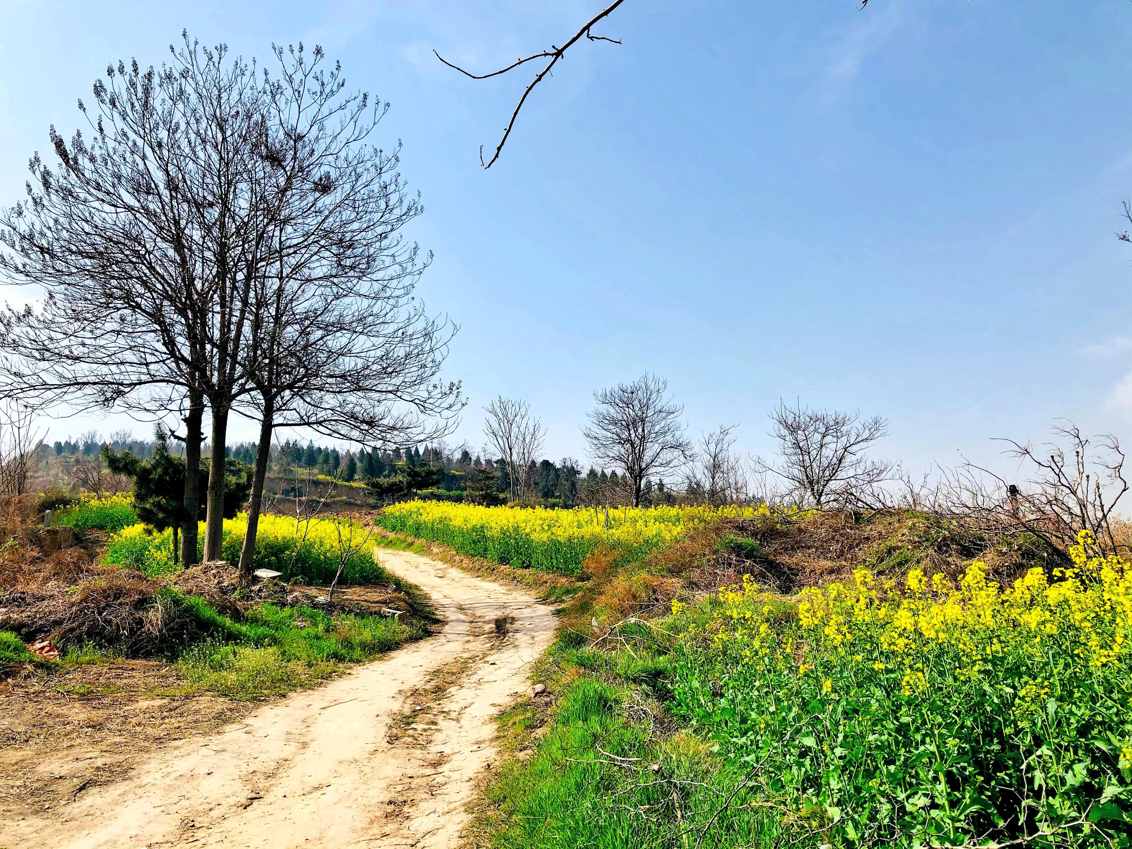金塘半日游,白鹿原一日游攻略