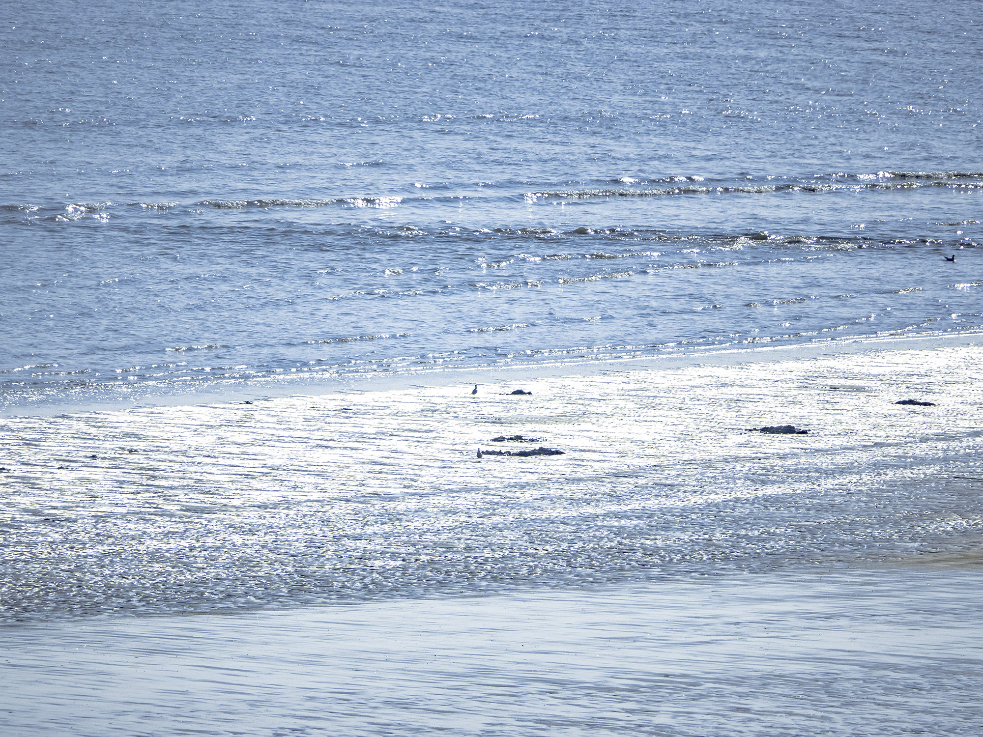 青岛海泉湾海洋温泉如何,青岛海泉湾海洋温泉