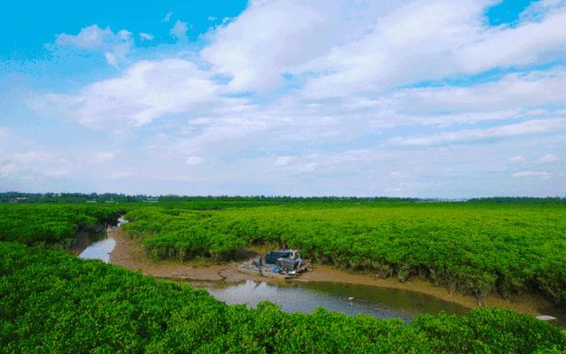 咸鸭蛋但是咸鸡蛋却很少有人吃,如何让咸鸭蛋蛋黄流油而不会咸