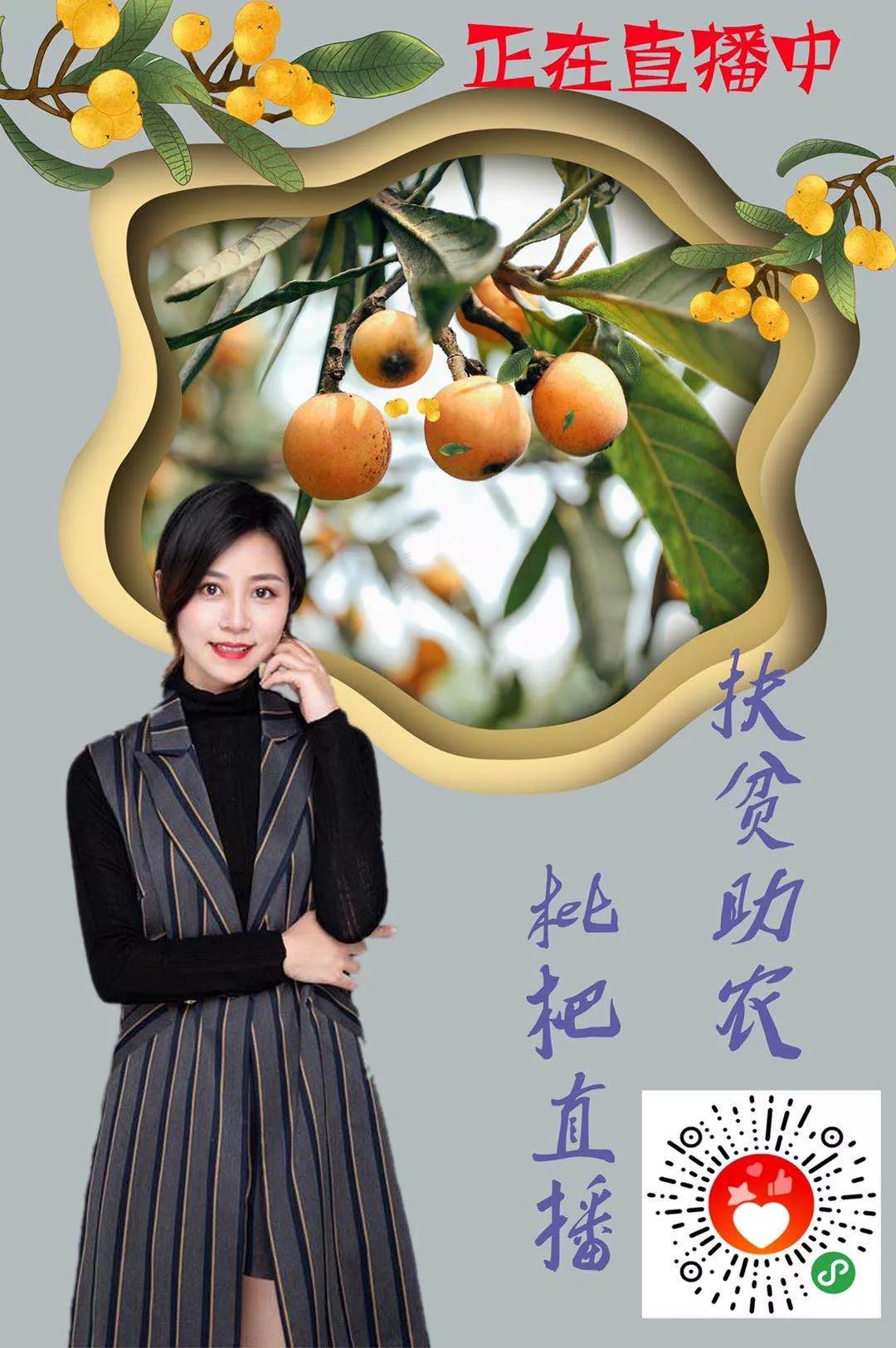 城厢区常太镇首届“壶兰耕读·云上枇杷文化节”暨第22届枇杷节来啦！快来“嗨枇”吧~