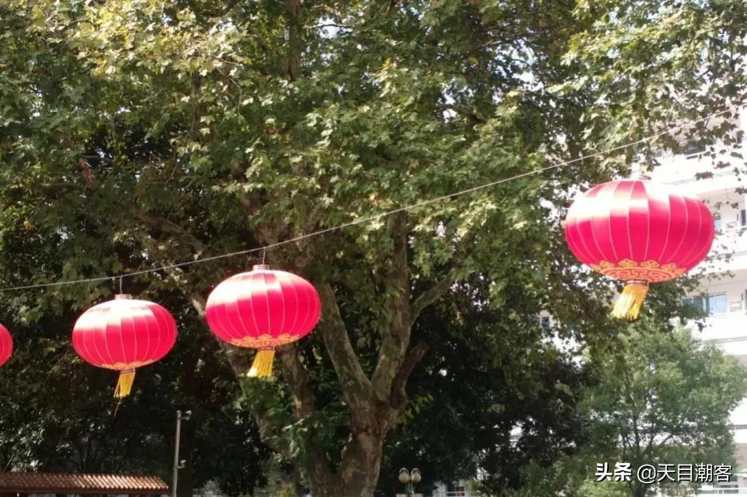 浙江孔庙调查|茅盾故里钩沉:桐乡拆儒宫取良材换钢材造大会堂