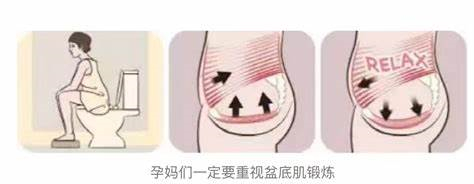 孕期如何运动有助于产后恢复身材,如何正确科学地进行孕期锻炼