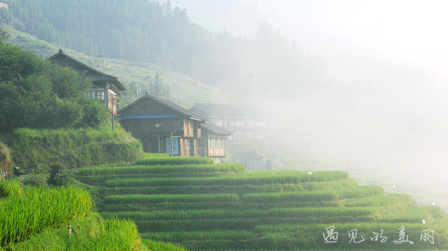 龙脊梯田风景区被破坏过吗,桂林龙脊梯田最全攻略