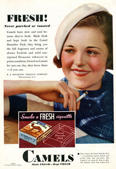 照片背后的故事简短,照片背后的故事100字